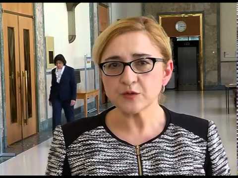 საქართველოს საგარეო საქმეთა მინისტრის კომენტარი ევროკავშირის წარმოდგენილ საკონსულტაციო დოკუმენტზე