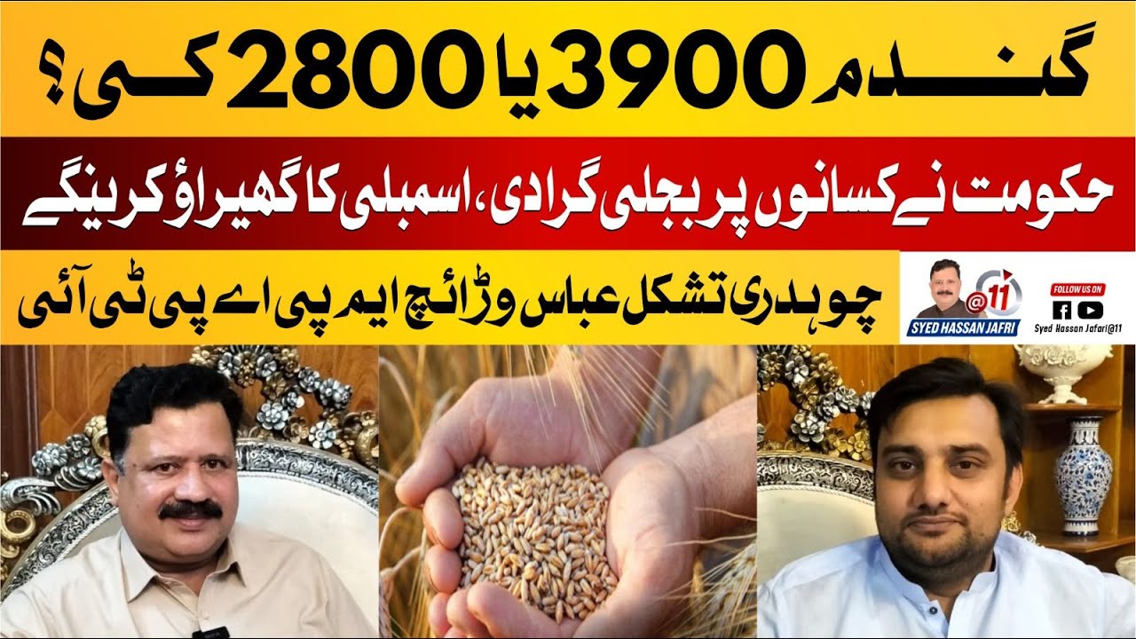 Wheat Price in Punjab 2024 | Wheat Price Latest Update | New Rate List ...