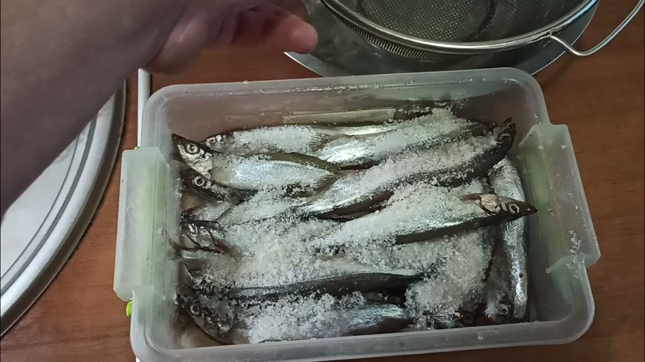 Мойва на зиму. Мойва провесная. таранка из мойвы. как вялить мойву.