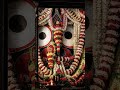 🌸जय जगन्नाथ स्वामी, नयन-पथगामी 🍀🙏#JaiJagannath #SandhyaAarti #JagannathSwami