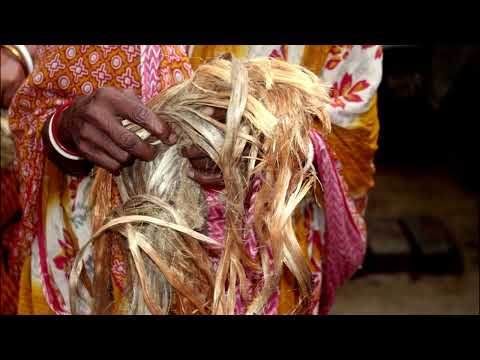 Largest Producer Of Jute In India