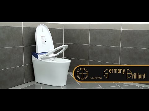 Video: Apa toilet siram listrik terbaik?