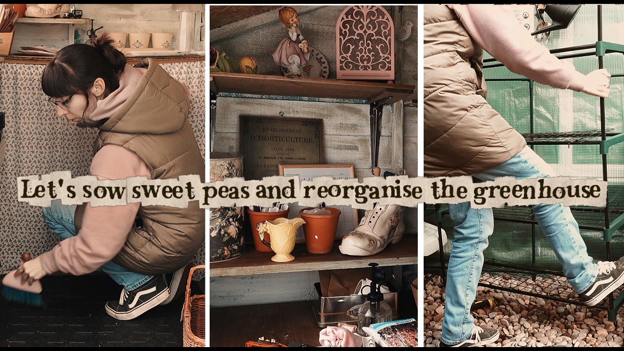 Sowing Sweet Peas & Greenhouse Reset for Flower Sowing Season