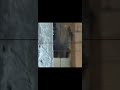 Snipers BATTLE short #airsoft