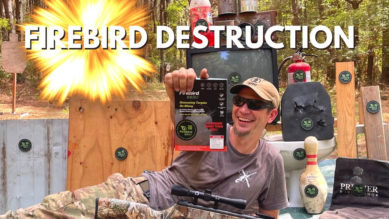 How Powerful Are Firebird Targets?!?