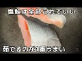 減塩に！「塩鮭はもう焼かない！」【茹で塩シャケ】ゆでるだけで”ふっくら”美味しい食べ方！