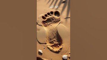قران الكريم #المصحف #تيك_توك #الرحمن #islamictext #islamicscripture سوره النمل