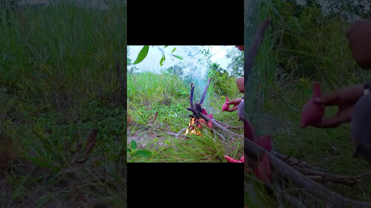 Man Living Near Jungle Cooking Potatoes For Dinner 