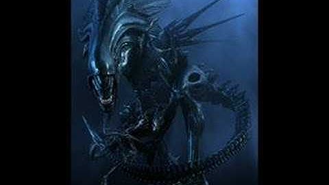 My First Pivot And a Song