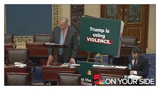 Senate Democrats protesting President Trump's policies