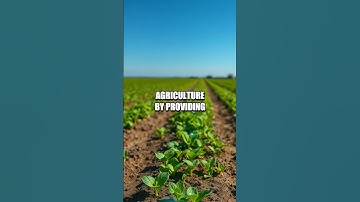 Exploring Smart Dust Technology: The Miniature Sensors of Tomorrow