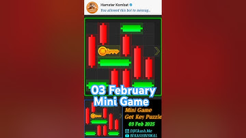 Hamster Kombat Today