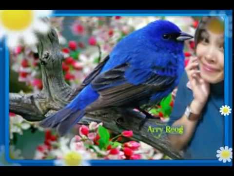 Jamal Mirdad ~ HATI KECIL PENUH JANJI