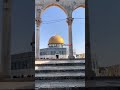 #bismillahfyp#palestine #masjidalaqsa #fyp