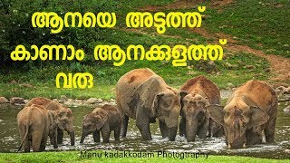 ANAKULAM Elephant View Point mankulam village Idukki Manu kadakkodam photography