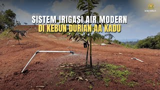 Sistem Irigasi Modern di Kebun Durian AA Kadu – Rahasia Perawatan Durian Tetap Subur!
