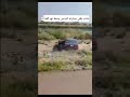 لأسباب مجهولة شاب يلقي سيارته نوع برنس في نهر الفرات قبل قليل
