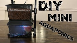 DIY Mini Aquaponics System - Gardening with your fish!