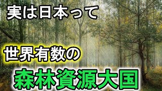 環境資源としての価値は７０兆円以上！日本に秘めたる可能性「森林資源」についてまとめてみた。