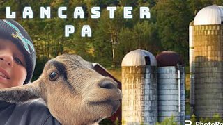 Visiting Shady Maple petting farms and more in Lancaster PA