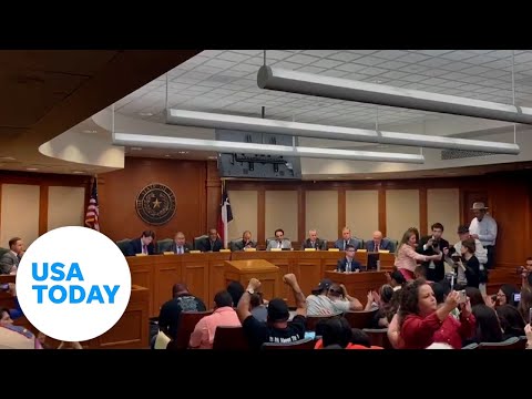 Gun bill to raise age for AR-15 purchase passes Texas committee | USA TODAY