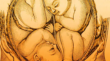 ¿Pueden un niño y una niña compartir la placenta?