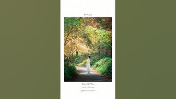 숲속에서 인생사진 찍는 법 #스마트폰카메라 #스마트폰사진 #스마트폰꿀팁 #사진작가 #사진잘찍는법 #사진찍기 #사진꿀팁 #갤럭시 #폰카 #아이폰 #갤럭시카메라