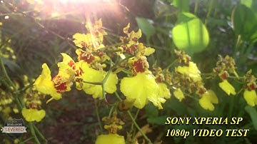 Sony Xperia SP FULL HD Video test