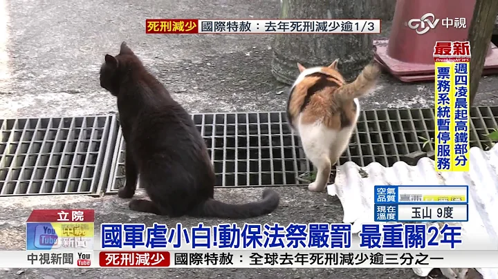 动保法大变革!禁吃猫狗肉 违者重罚25万│中视新闻 20170411 - 天天要闻