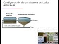 Lodos activados (Activated Sludge)