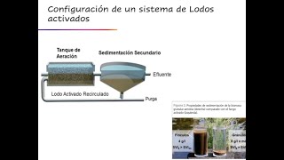 Lodos activados (Activated Sludge) by Dr. Ricardo Beristain Cardoso 5,768 views 3 years ago 1 hour, 20 minutes