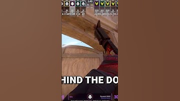 NiKo Shows INSANE Anubis Mid Flash For CS2