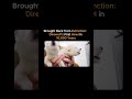 From Extinction to Existence: The Dire Wolf's Comeback #shorts #direwolf