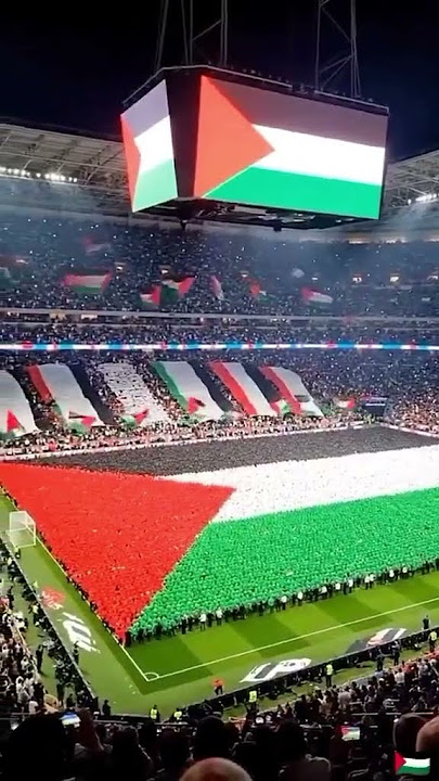 Oh my god 😱 huge of supporters Palestine 🇵🇸 #shorts #palestine