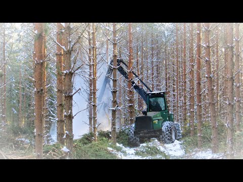 Video: Jästbullar Med Vallmofrön 