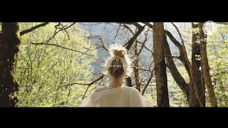 4K Videotsp Gaming Ff