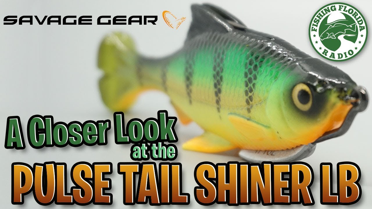 A Closer Look at the @SavageGear Pulse Tail Shiner- Largemouth Freshwater  Bass Soft Plastic Fishing 