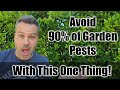 This one thing gets rid of 90 of pest damage in your garden