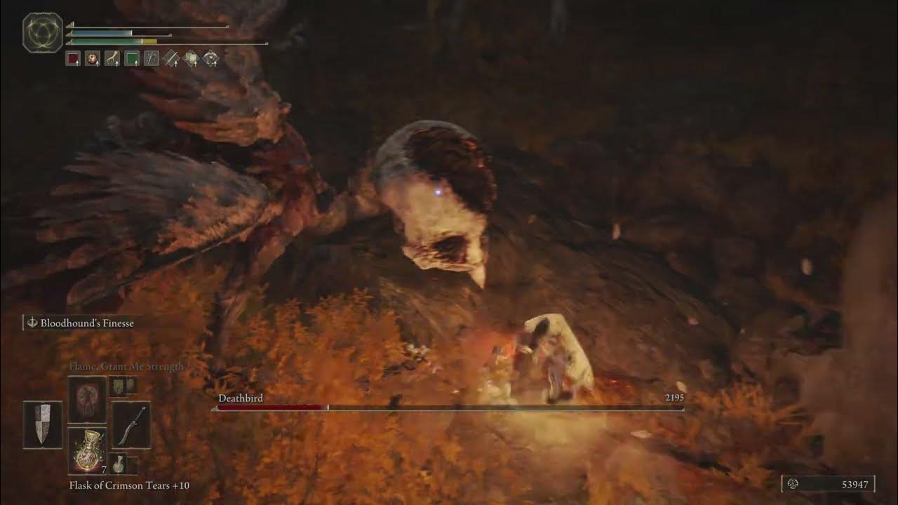 Deathbird (Capital Outskirts) - Elden Ring - YouTube