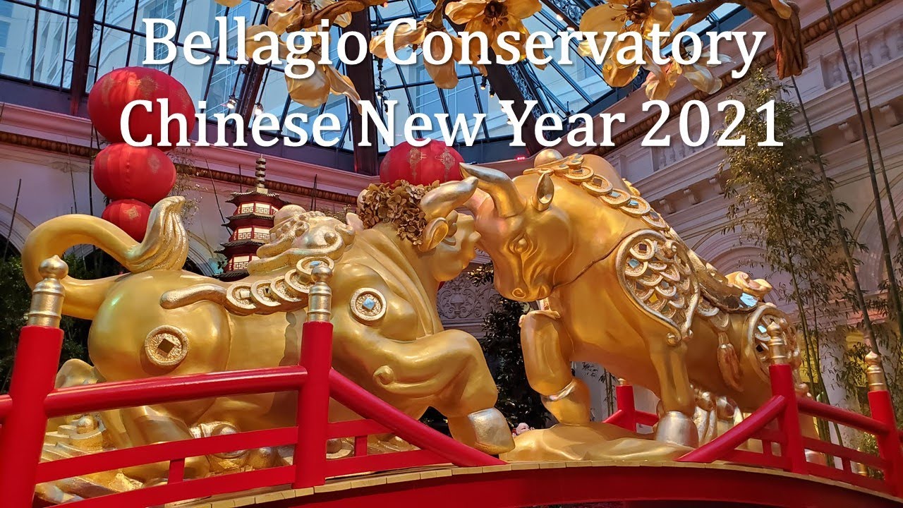Bellagio Conservatory Chinese New Year 2021