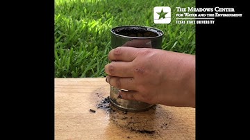 DIY Tin Can Planters