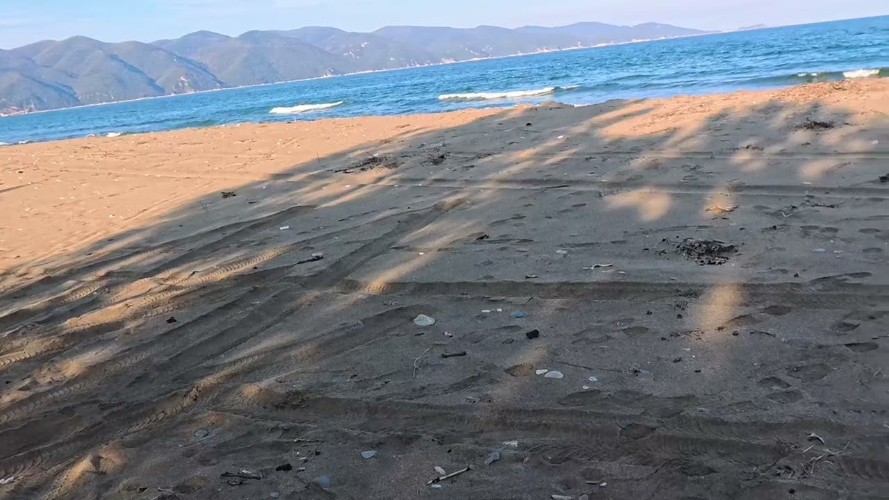 Наложи се да правим диги с подръчни материали , морето при буря залива целият район даже гората!!!