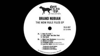 Brand Nubian - Probable Cause (og mix)