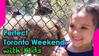 Helping you plan a perfect weekend in toronto, the murphys make visits
to several of toronto’s top family attractions. while spending at
fami...