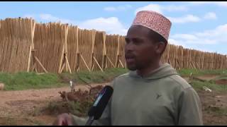 Puukauppa kukoistaa Tansanian Njombessa - Timber trade is booming in Njombe, Tanzania