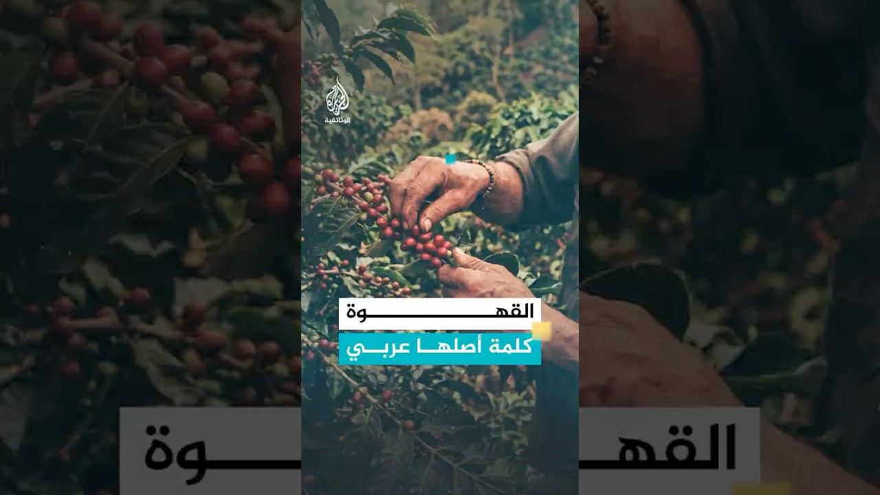 القهوة كلمة أصلها عربي