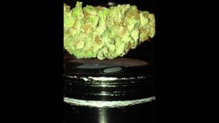 Showing off BC Bud - Ambrosia