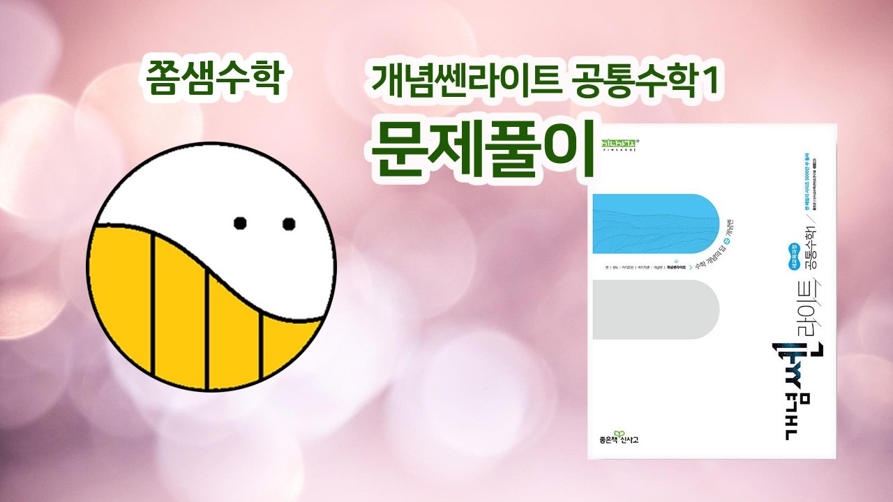 [개념쎈라이트 공통수학1] 226쪽 01번