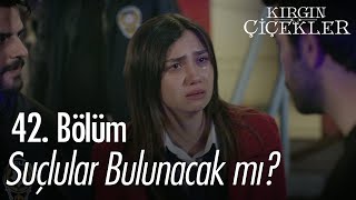 Suçlular Bulunacak Mı? - Kırgın Çiçekler 42. Bölüm