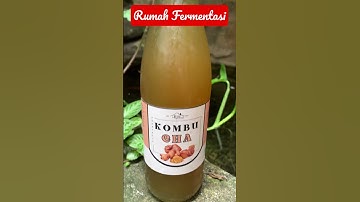 Thumbnail of Tidak Haid ikhtiar dg Kombucha #kombucha #kombuchalovers #kombuchabrewing #herbal #shorts